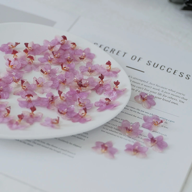 DIY Jewelry Natural Pink Resin - Jewelry Making For Birthday Party incelemesi ve fiyatı